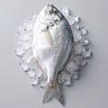 Fresh Silver Pomfret Whole Fish