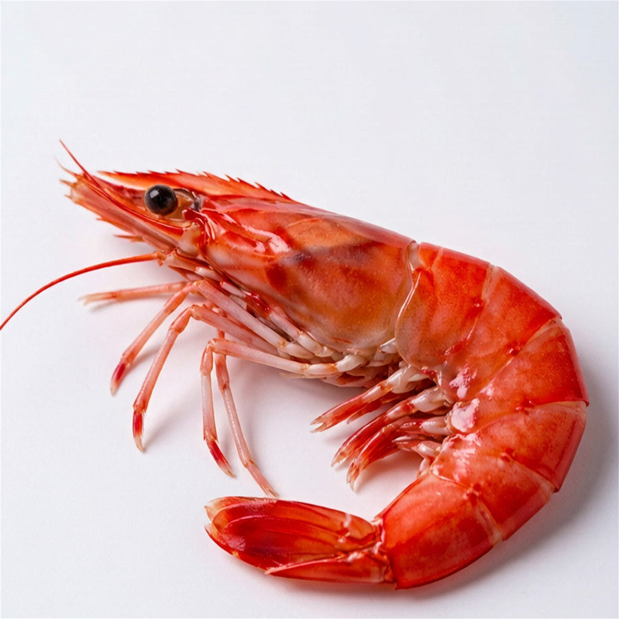 Fresh Deep Sea Red Prawns