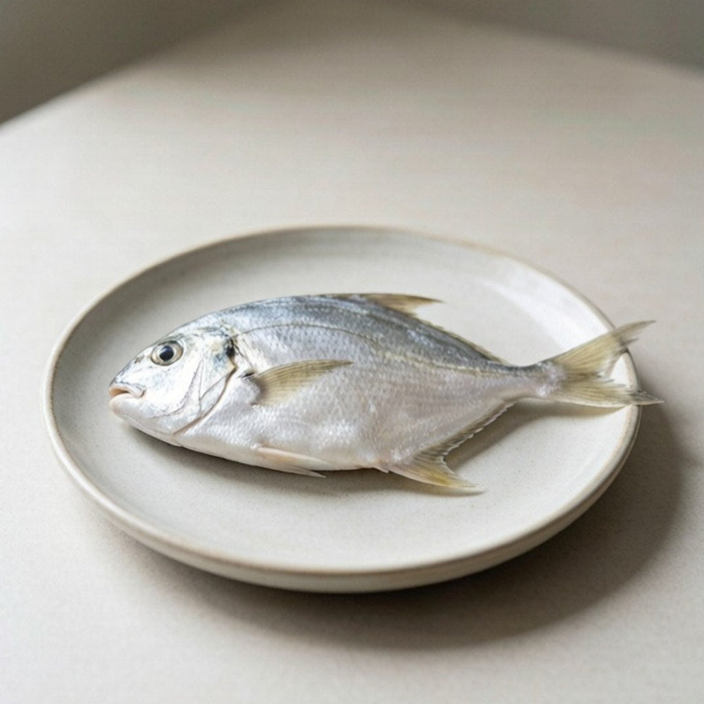 Fresh Silver Pomfret Whole Fish