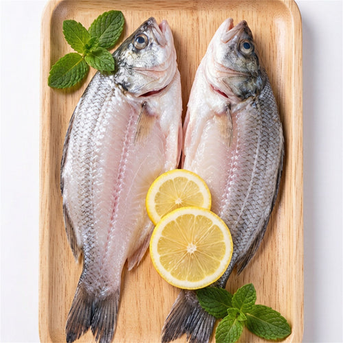 Fresh Butterflied Sea Bass Fillet