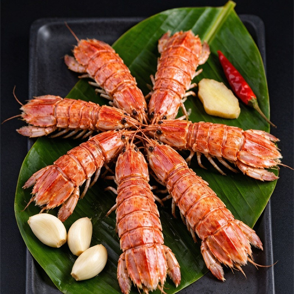 Frozen Wild Mantis Shrimp